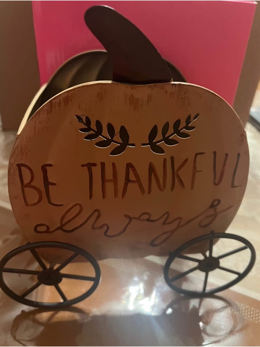 Pink Zebra Metal Carriage Pumpkin Accent Shade